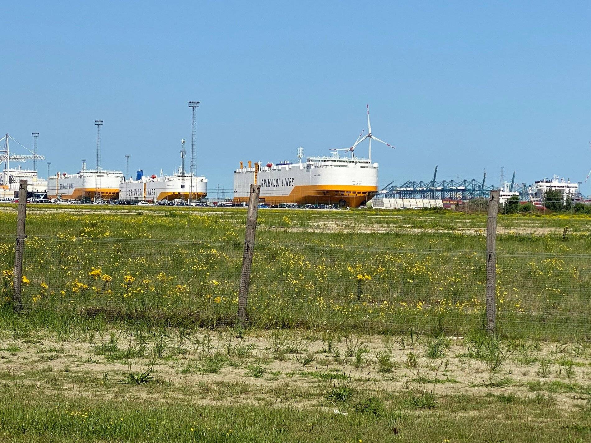 Ford Mustang Mach-E Europe - Shipment numbers / vessel tracking Grande Florida Port of Antwerp - 3