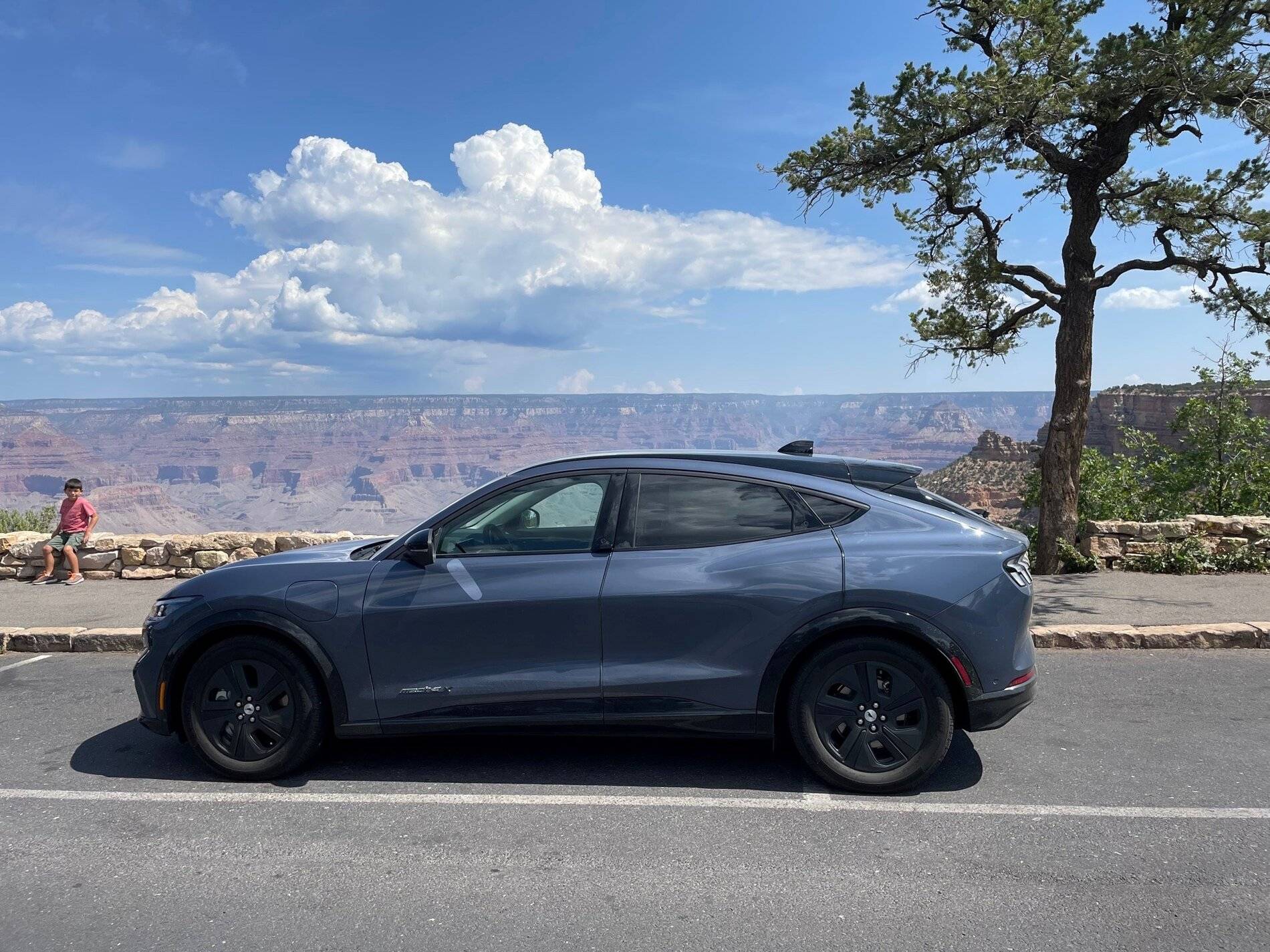 Ford Mustang Mach-E Does Park Assist actually work for people? MMEatGC