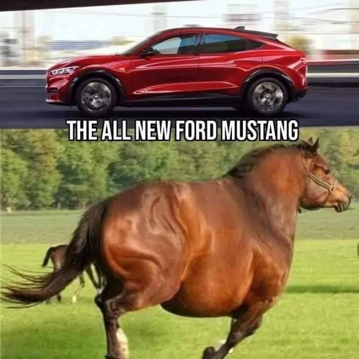 Ford Mustang Mach-E Derogatory Names for the Mustang Mach-E? 210611132_3008075949468748_7283666000751906305_n