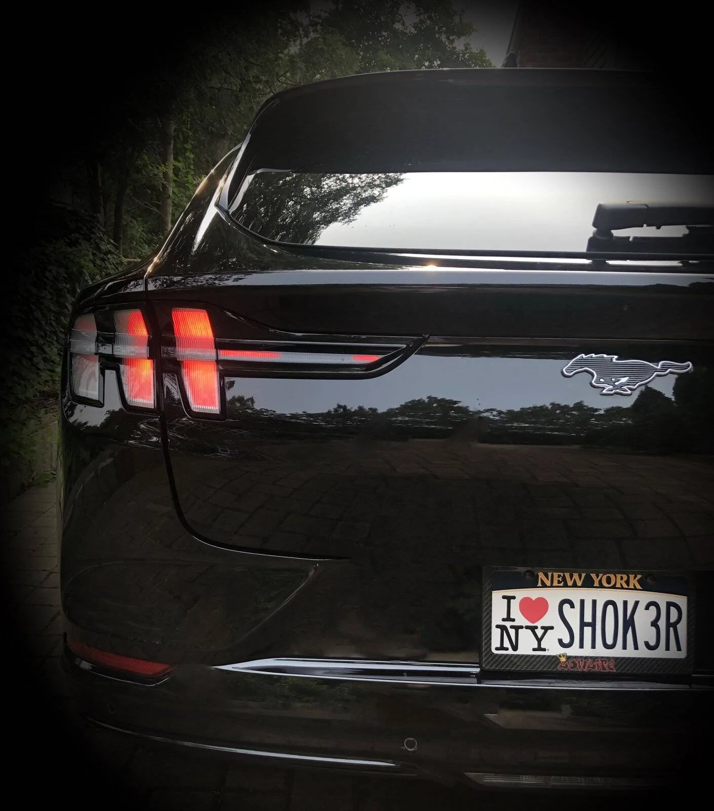Ford Mustang Mach-E Taking suggestions for Personalized Plate! 661372D3-65D7-4132-9CE5-F0890BBB67DB
