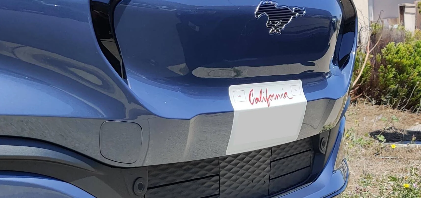 Ford Mustang Mach-E License Plate Wrap - Anyone have experience? 1627162027787