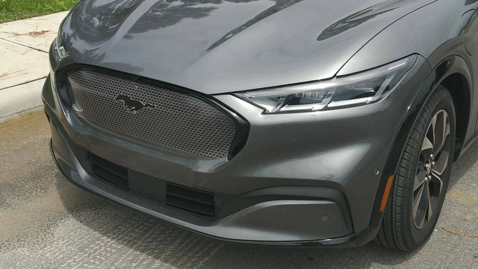 Mach e Grille pic 1.png
