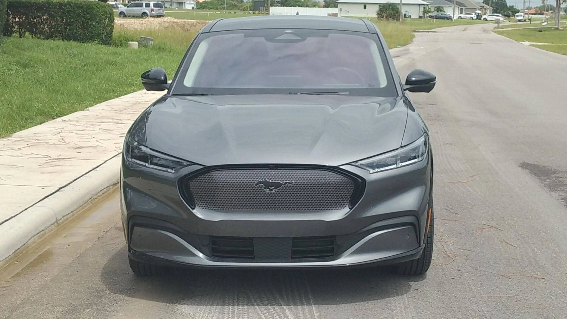Mach e Grille pic 2.png