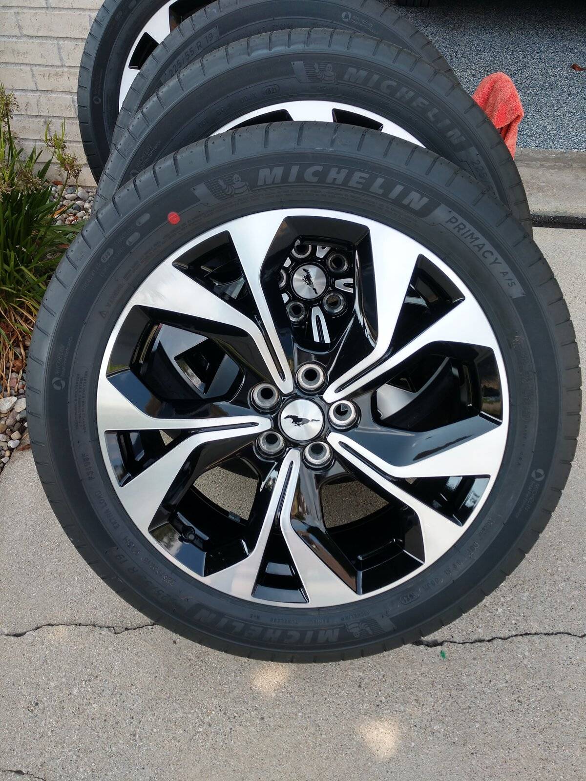 Ford Mustang Mach-E Stock premium wheels cleaned and coated IMG_20210807_162034274_HDR