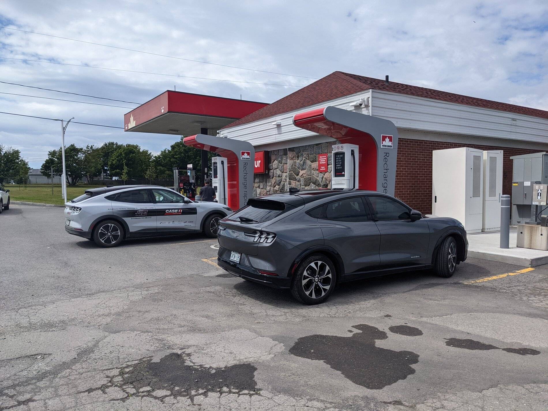 Ford Mustang Mach-E To tint or not? Any regrets? PXL_20210731_180702941