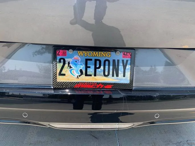 Ford Mustang Mach-E "My Little Pony" Pony