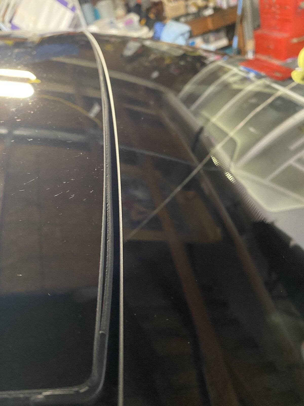 Ford Mustang Mach-E Seal on glass roof F1520562-35D7-48D0-9D35-B2E96DEED16E