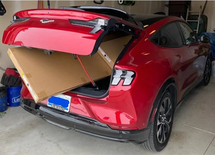 Ford Mustang Mach-E Beast of burden Picture1
