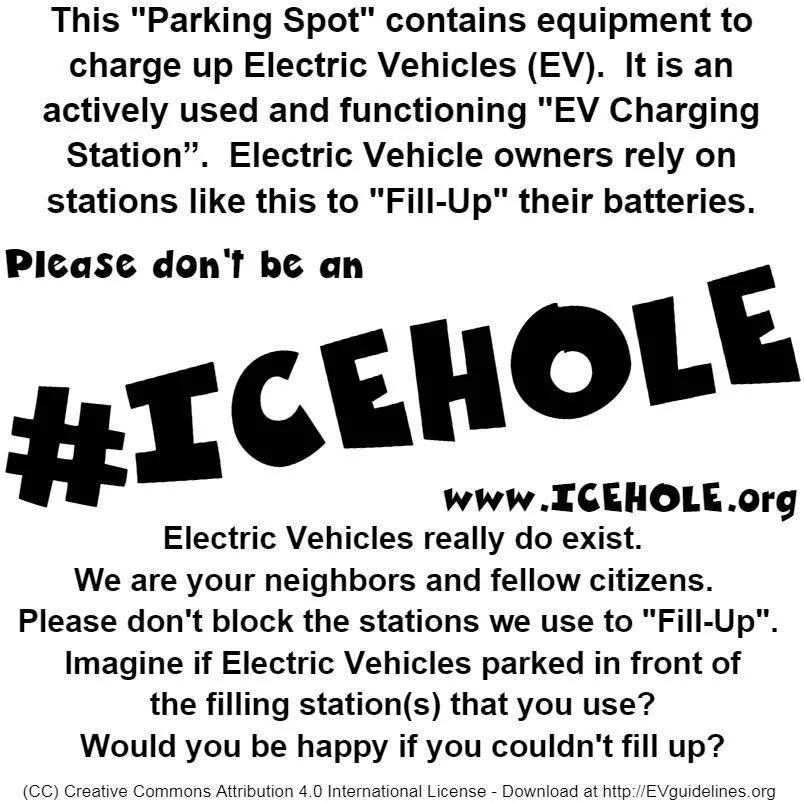 Ford Mustang Mach-E UK Customers EV-Parking-Tickets-Iceholes-B&W-Back
