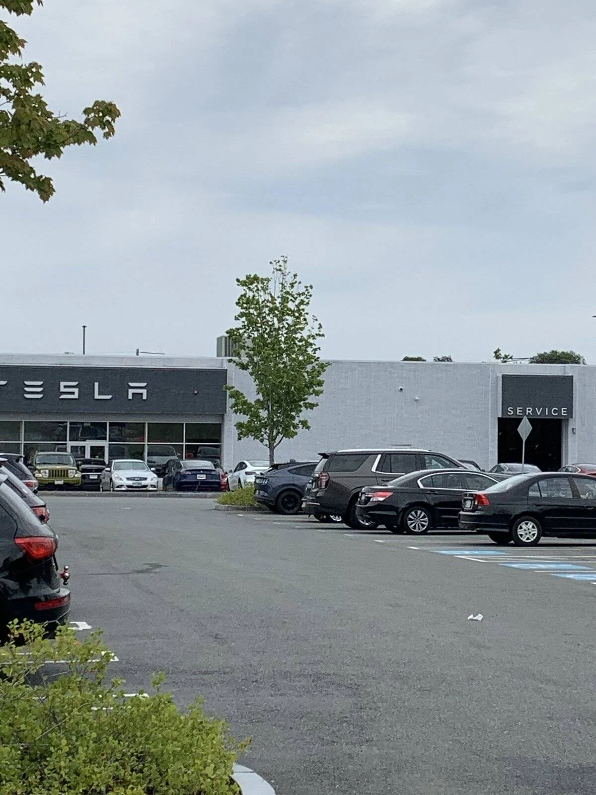 Ford Mustang Mach-E Had to stop by a Tesla dealer today 647CC9F2-3407-48E1-B060-BAB2A75EA264