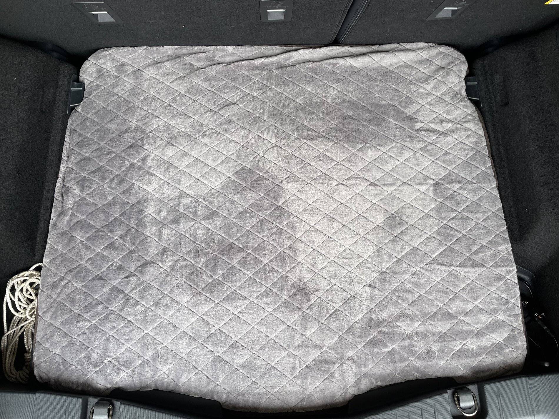 Ford Mustang Mach-E Dog Mattress for Back IMG_1173.JPEG