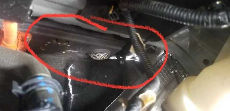 Ford Mustang Mach-E Updated: Crazy Repair Cost after minor incident- Car is totaled thumbnail_IMG_3335