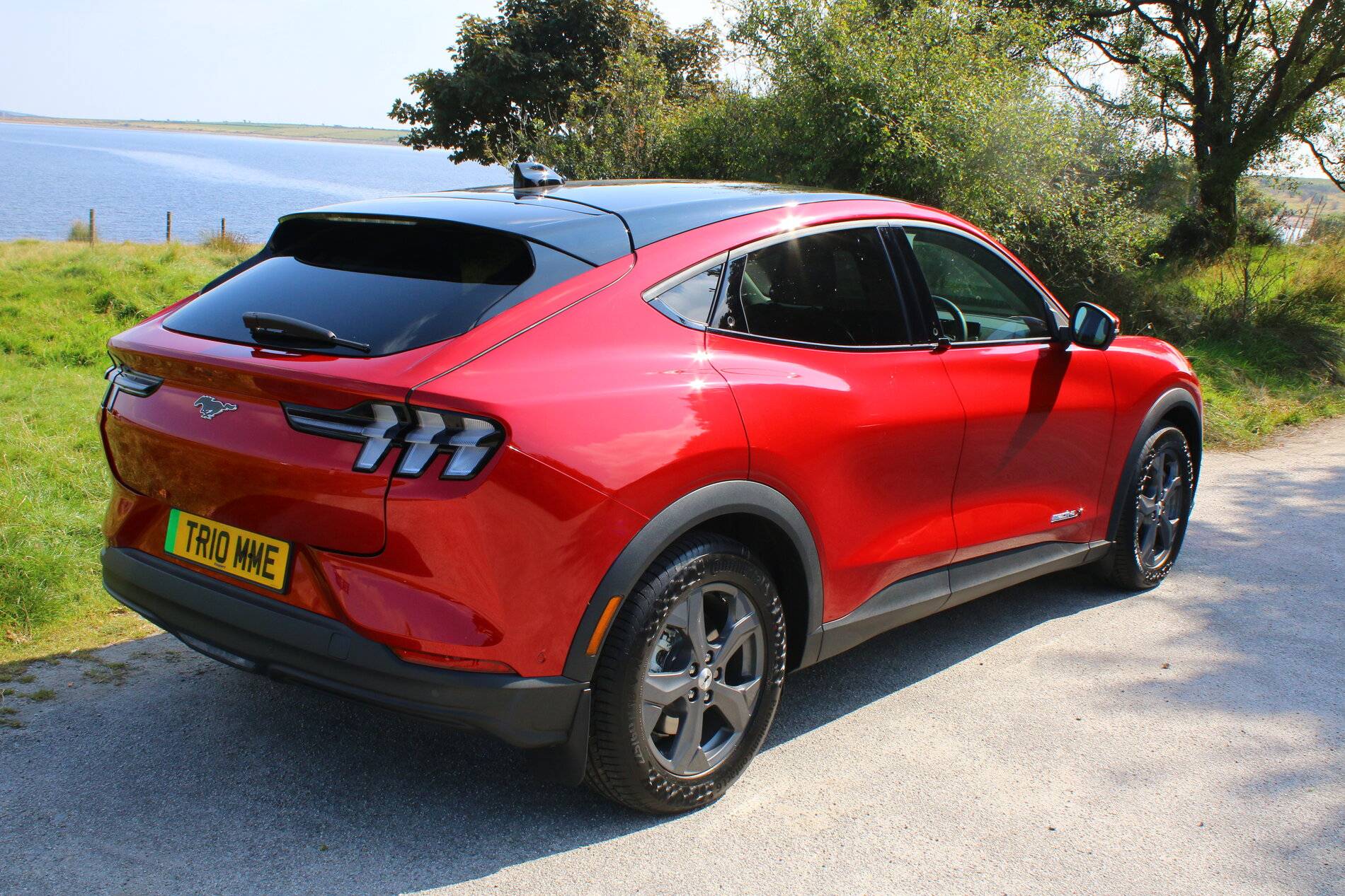 Ford Mustang Mach-E UK Customers IMG_9784.JPG