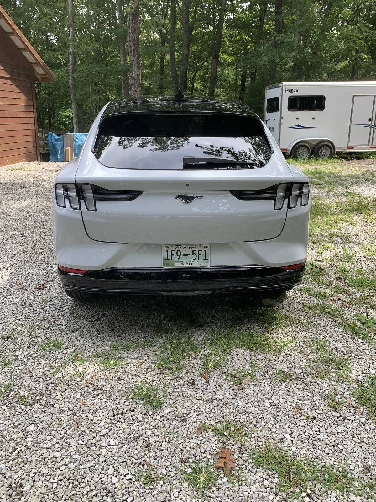 Ford Mustang Mach-E UPDATE:  Space White E4X after PPF and Ceramic IMG_2024