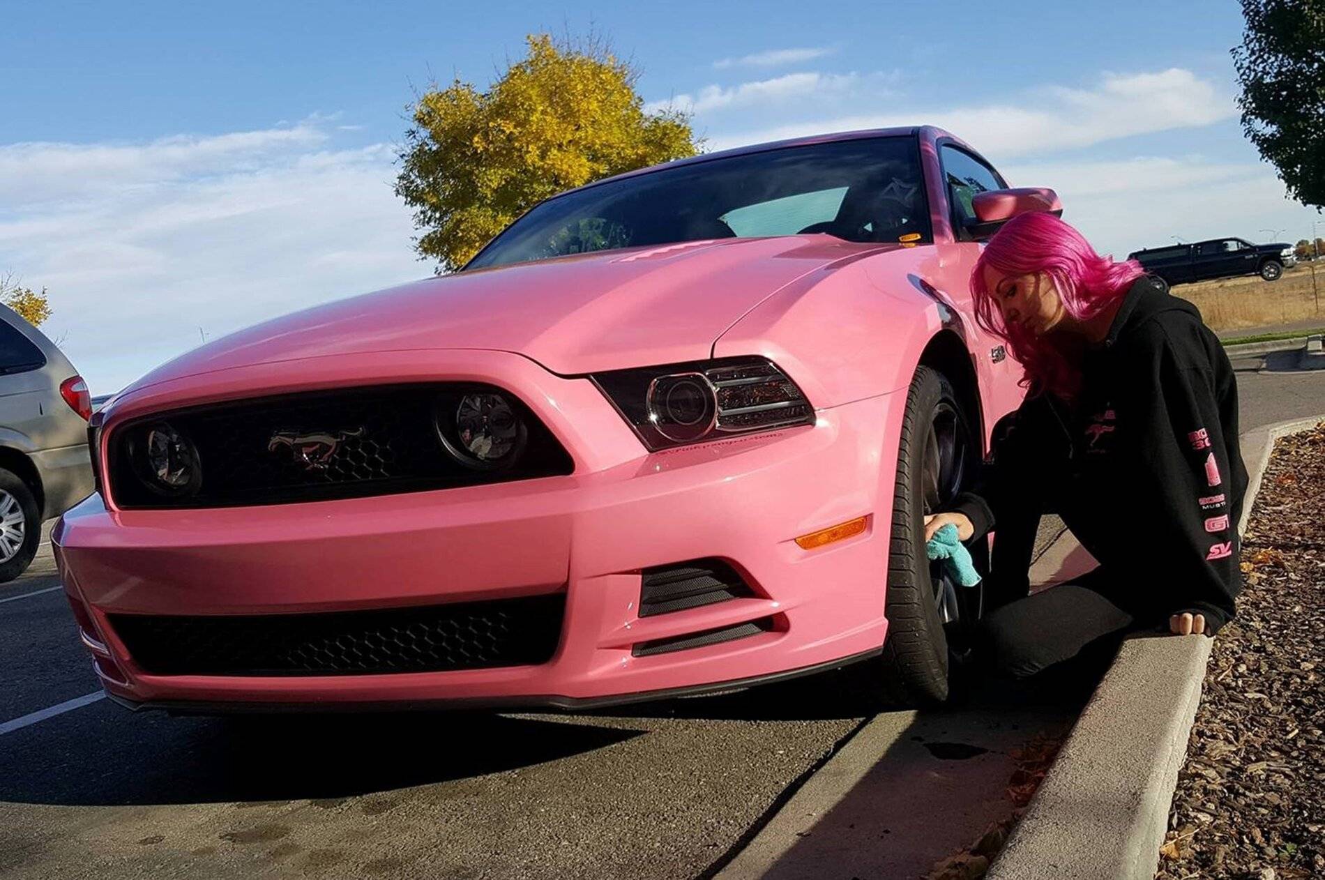 Ford Mustang Mach-E GT wheel covers - how to remove? R