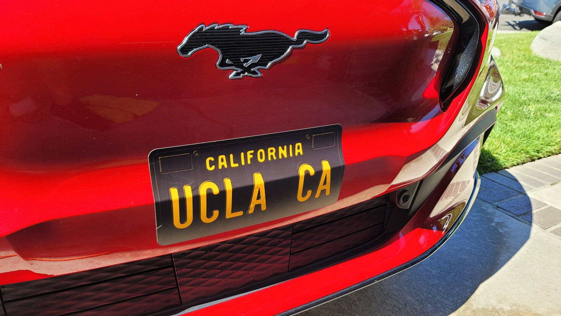 Ford Mustang Mach-E No-drill front plate options 20210912_144855
