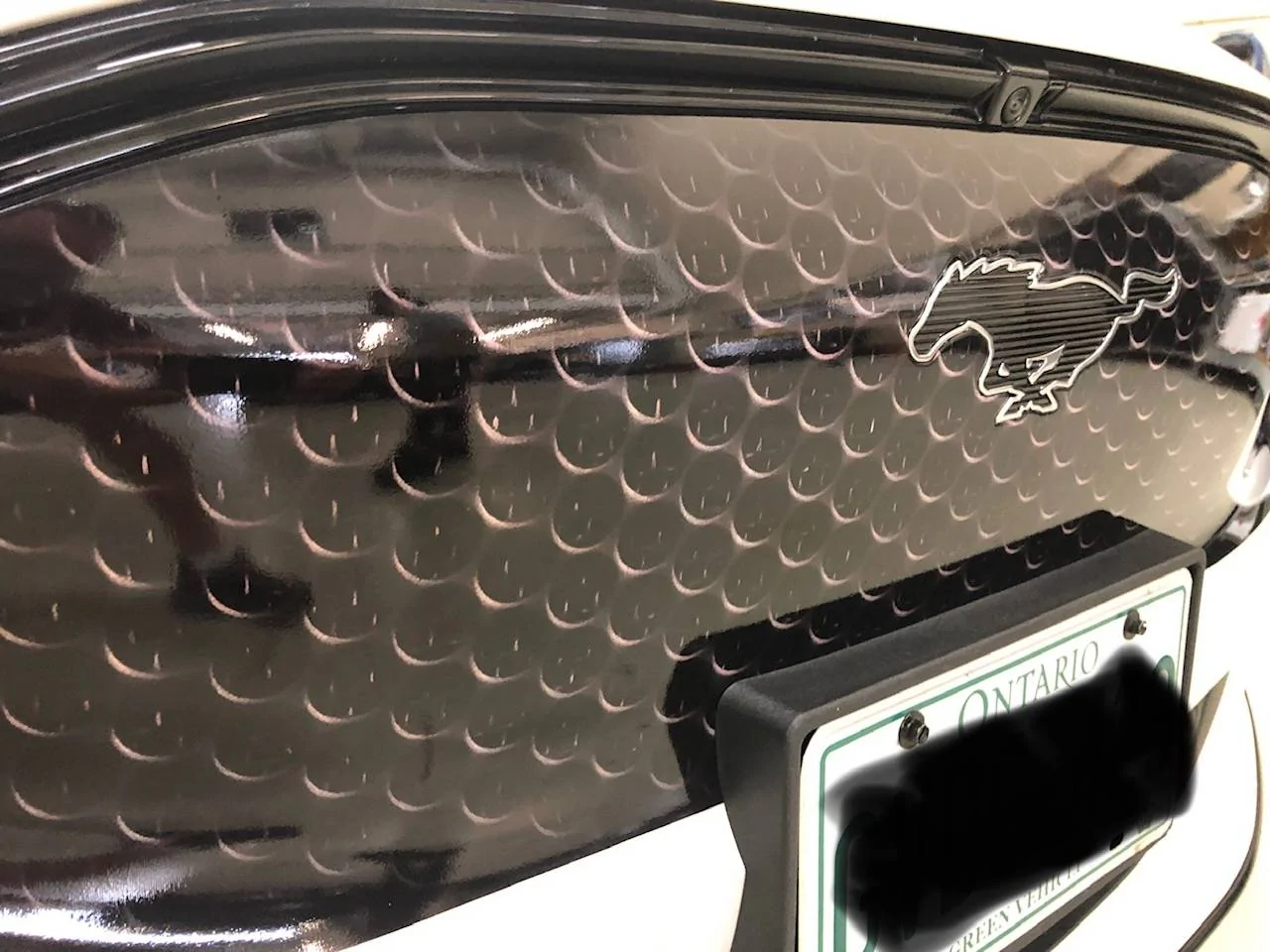 Ford Mustang Mach-E Grille Vinyl Wrapped - Before & After IMG_9485