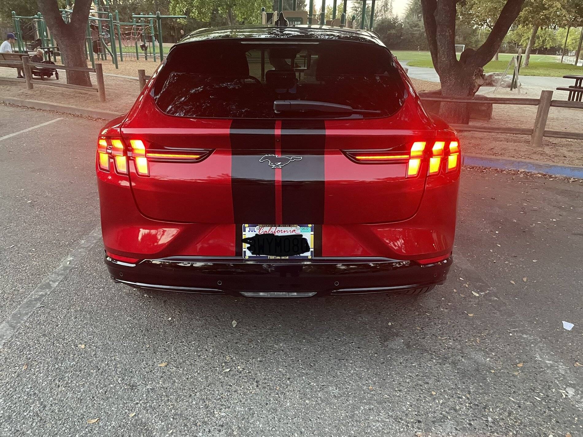 Ford Mustang Mach-E Stripes and 3M Matrix B8C61D62-58E7-4F23-9A02-49C771E6F179