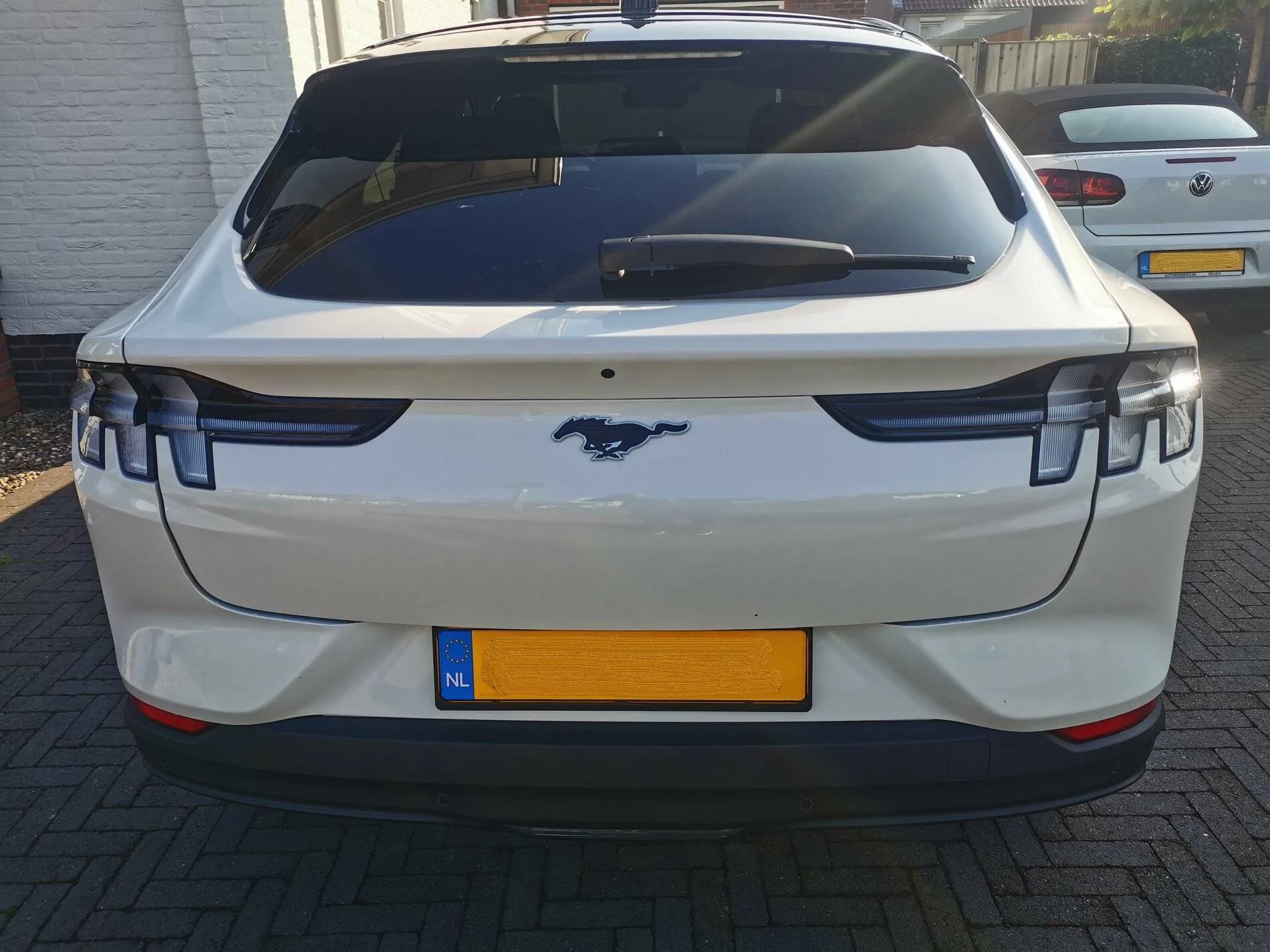 Ford Mustang Mach-E Taillight tint IMG_20211009_115604 v2