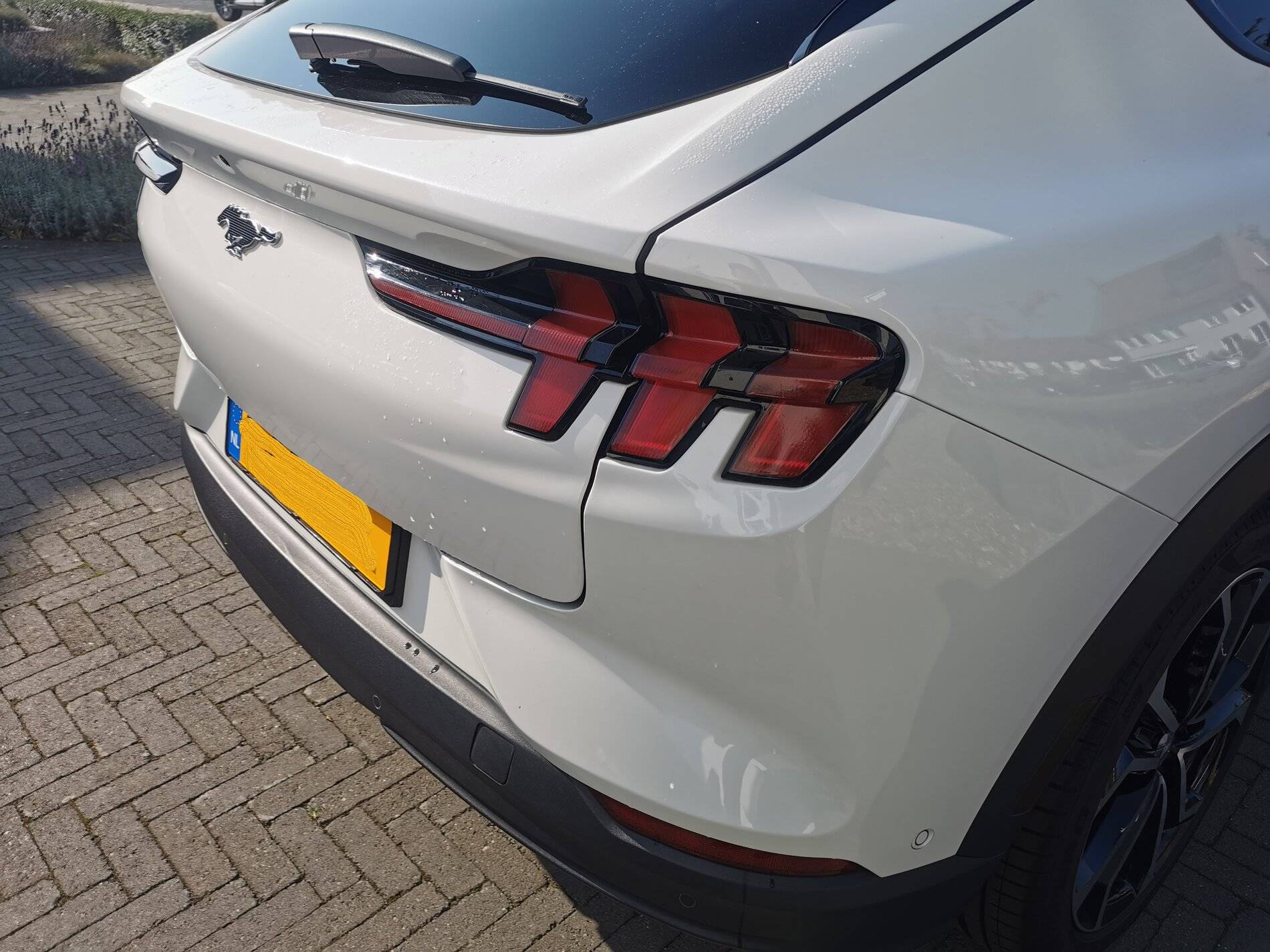 Ford Mustang Mach-E Taillight tint IMG_20211010_131346 v2