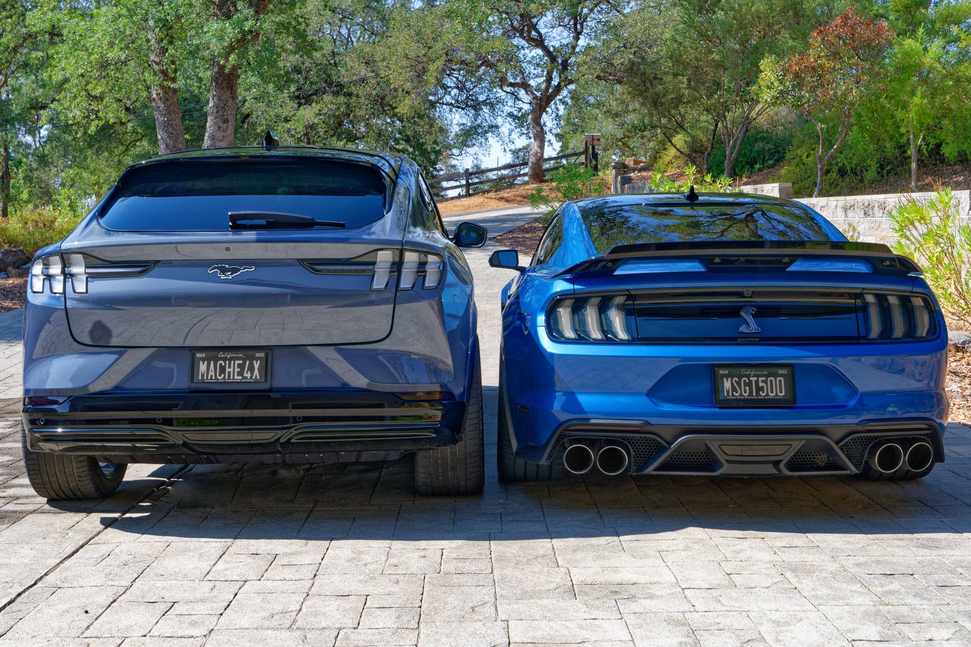 Ford Mustang Mach-E Post up your custom plates! NZ7_64421900E1