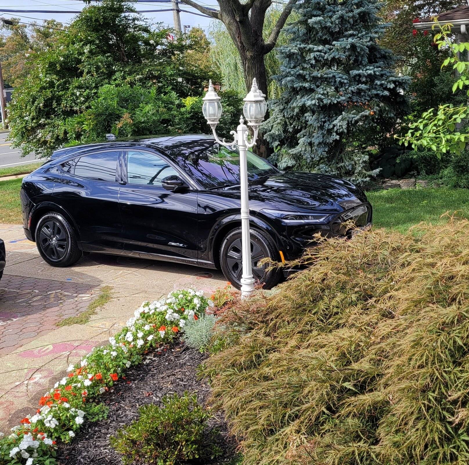 Ford Mustang Mach-E Mach-E Owners Registry & Stats [Enter Yours]! 20210923_145603-20211012001119-Edit