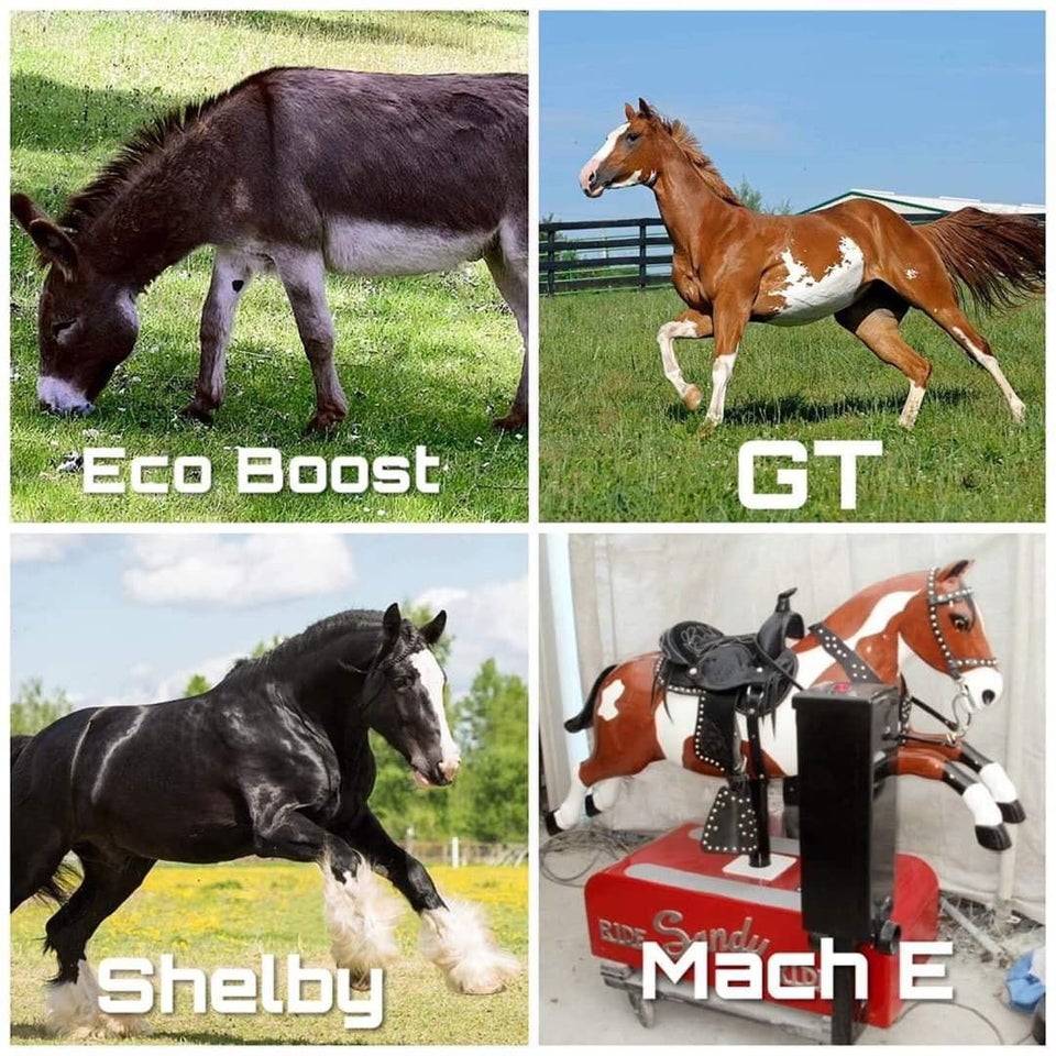 Ford Mustang Mach-E Mach-E meme’s 9BC82F89-B3AB-4836-9D96-0156E528EF0C