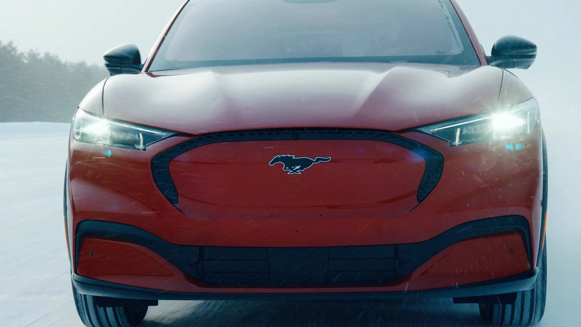 Ford Mustang Mach-E What are peoples' plans for front license plates? plate holes