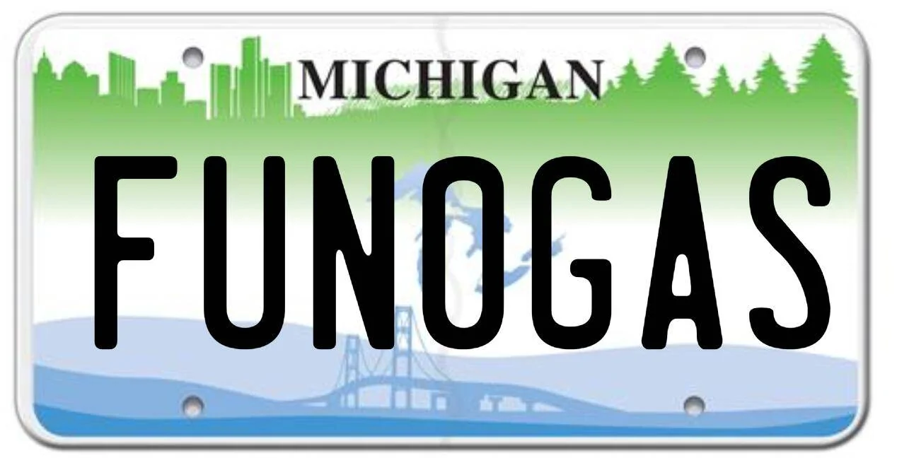 Ford Mustang Mach-E Custom Vanity Plates - What's Yours? Screenshot_2020-08-29-22-40-36_kindlephoto-76266023