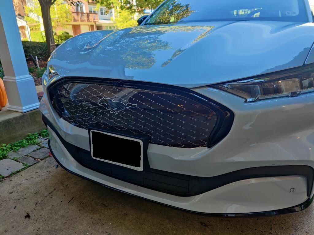 Ford Mustang Mach-E Grille Vinyl Wrapped - Before & After PicsArt_10-14-12.32.12