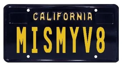 Ford Mustang Mach-E Taking suggestions for Personalized Plate! V8