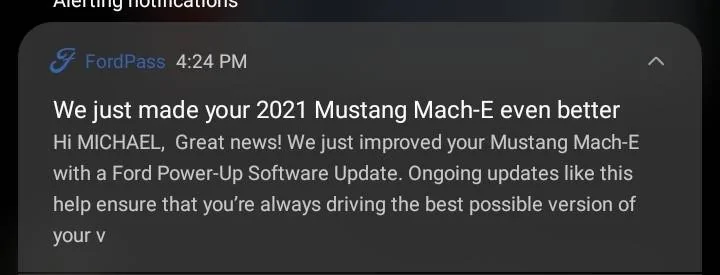 Ford Mustang Mach-E hey, I have a car! 1634767009633
