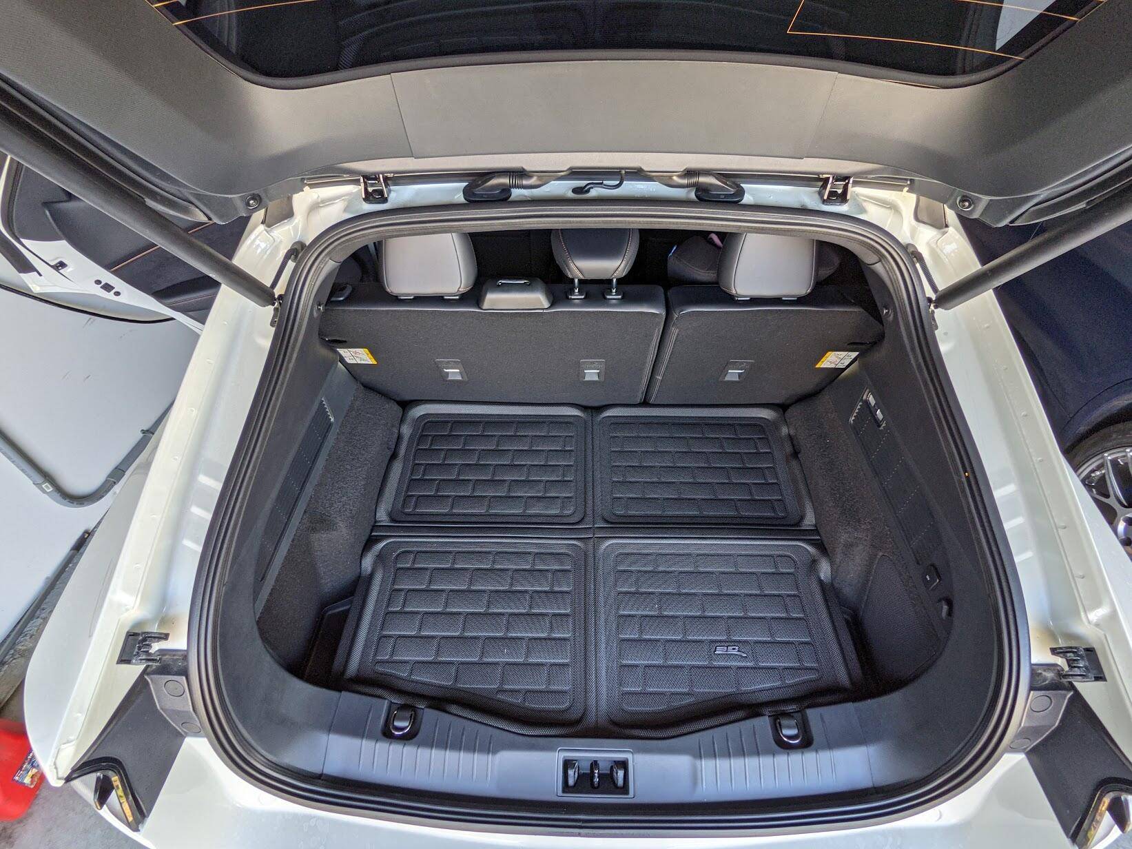 Ford Mustang Mach-E 3D Mats anybody? 1634827292994