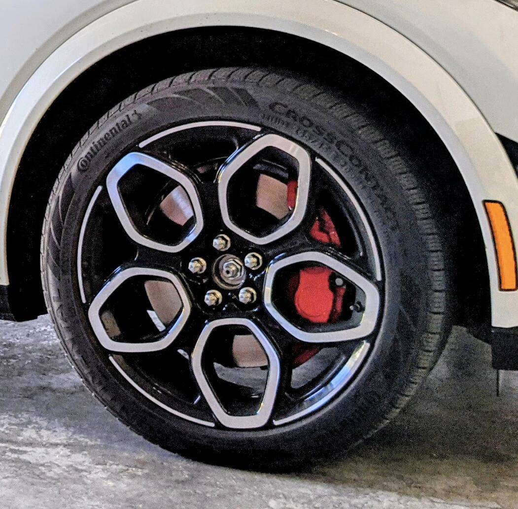 Ford Mustang Mach-E Mach-E GT wheels aero cover removal - photos & instructions writeup DIY 1634925175271