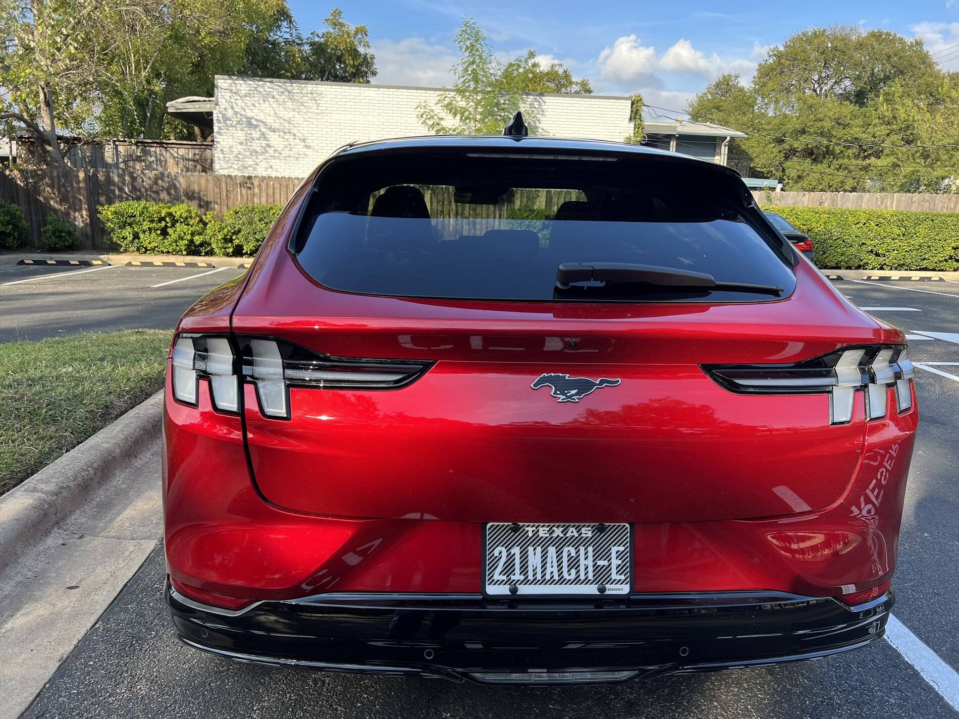 Ford Mustang Mach-E Custom license plate ideas 37CDF8E9-0A98-4490-9757-B794B57AECFD