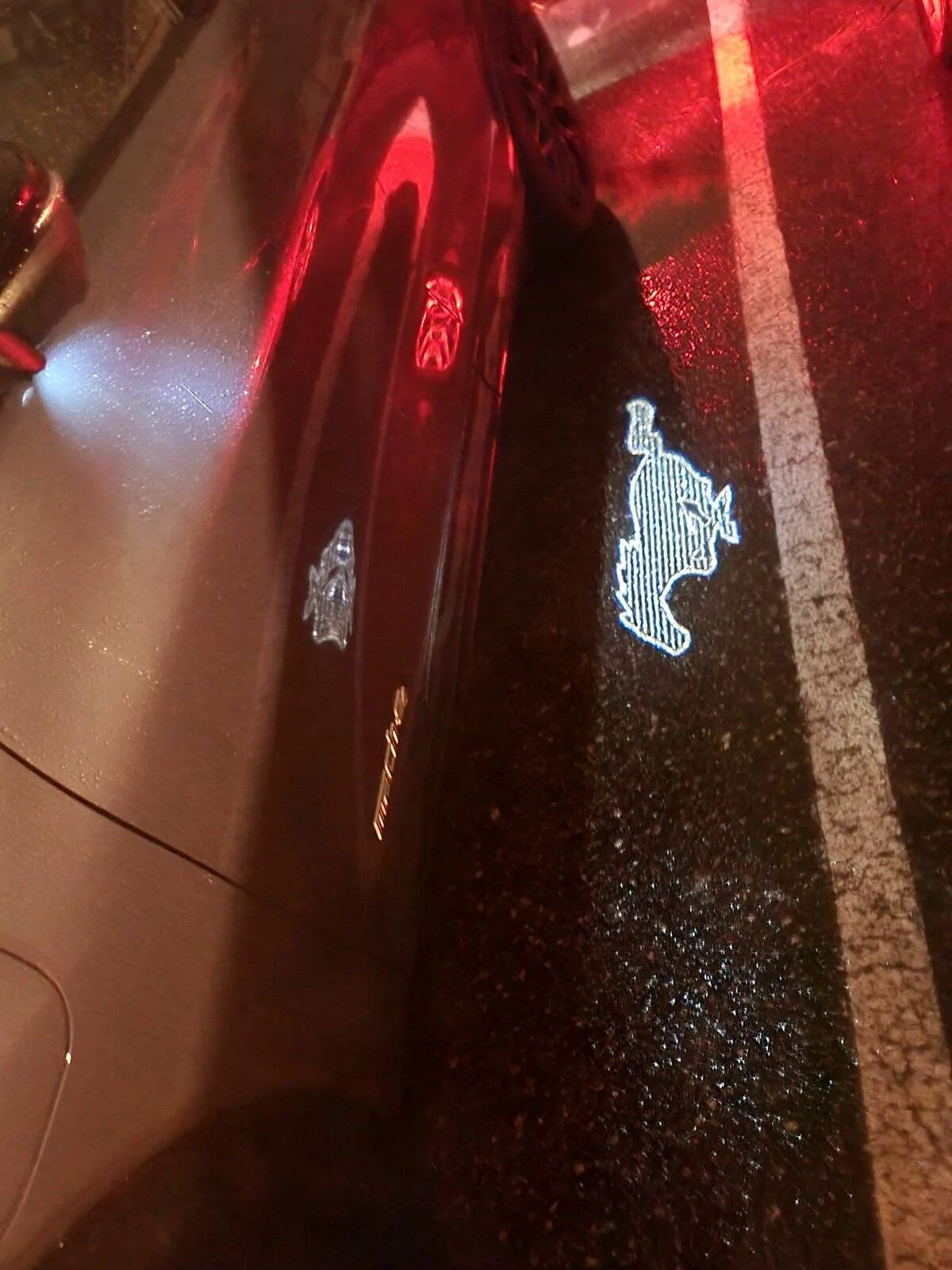 Ford Mustang Mach-E Welcome lights 1635142082527