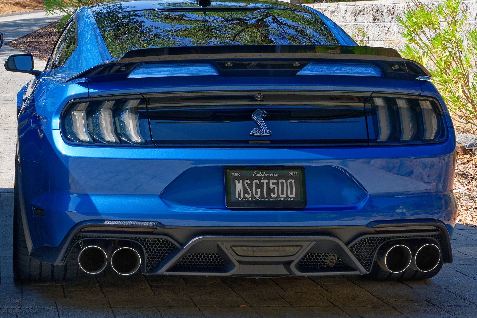 Ford Mustang Mach-E Custom license plate ideas NZ7_6442D-1