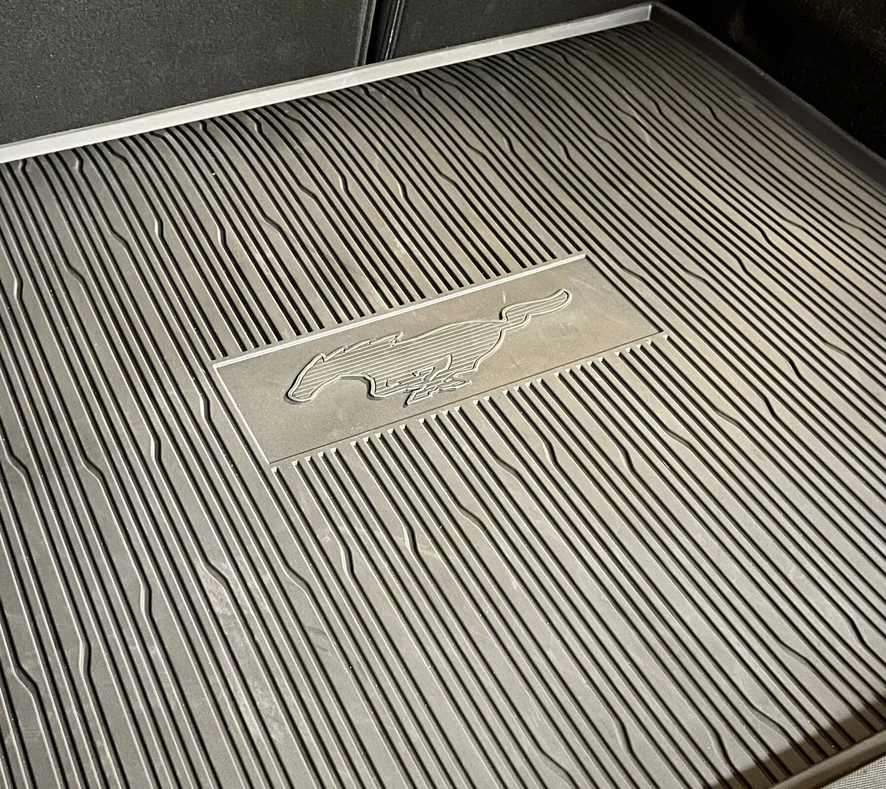 Ford Mustang Mach-E Apparently the floor protection mats are gone. 6B92E5CC-2299-4E4F-A64D-7495865EC5F0