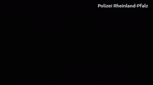 Ford Mustang Mach-E THE MOST IMPORTANT PICTURES EVER POSTED (*) ReactionPoliceGIF