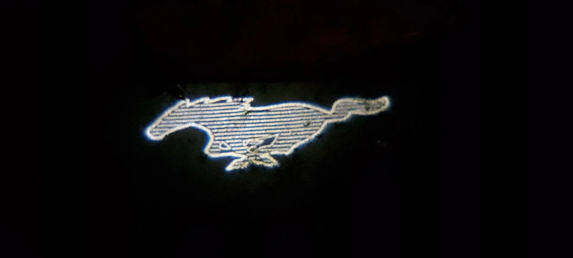 Ford Mustang Mach-E Belgian orders 20211031_194553