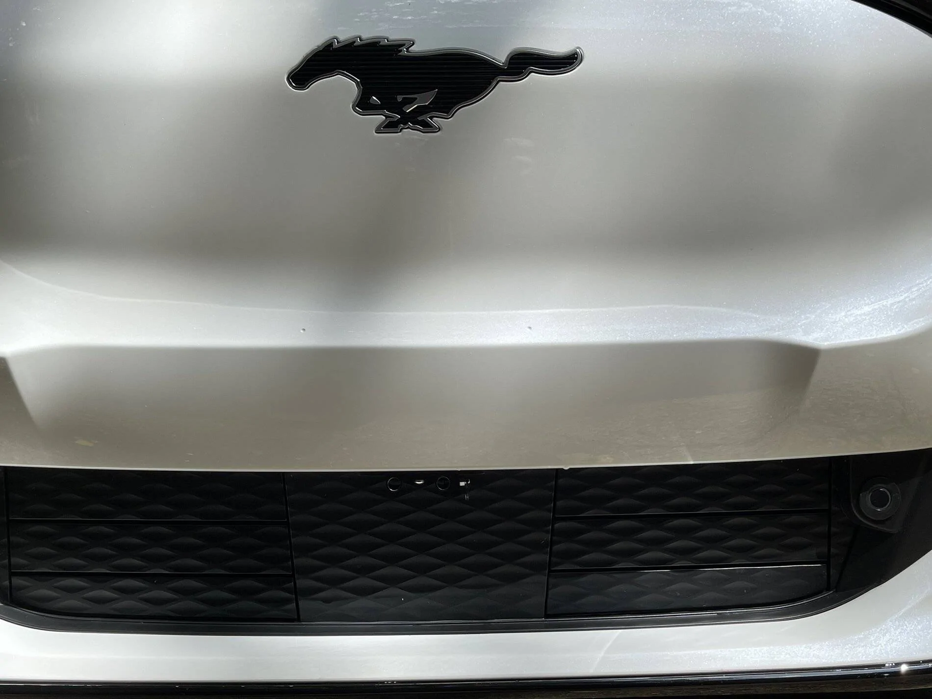 Ford Mustang Mach-E Anyone mount their front license plate using Sto N Sho bracket? 3833BF1D-0396-4A4D-8922-DD7B74DA13BB