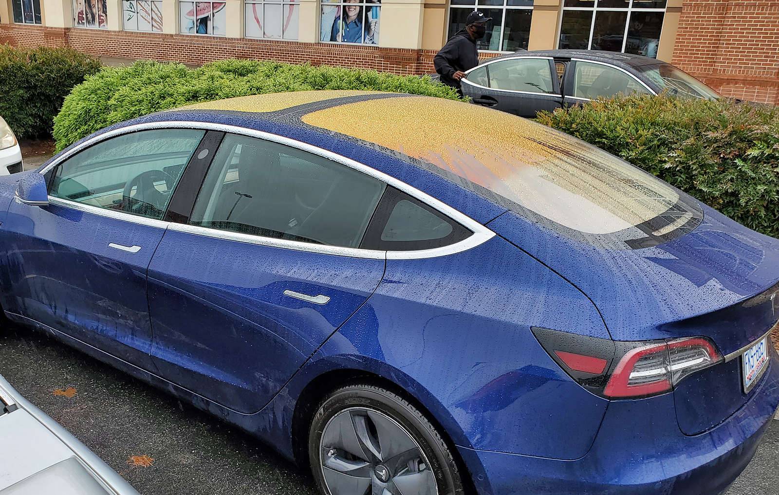 Ford Mustang Mach-E What's going on with this Tesla's roof? Tesla roof 2