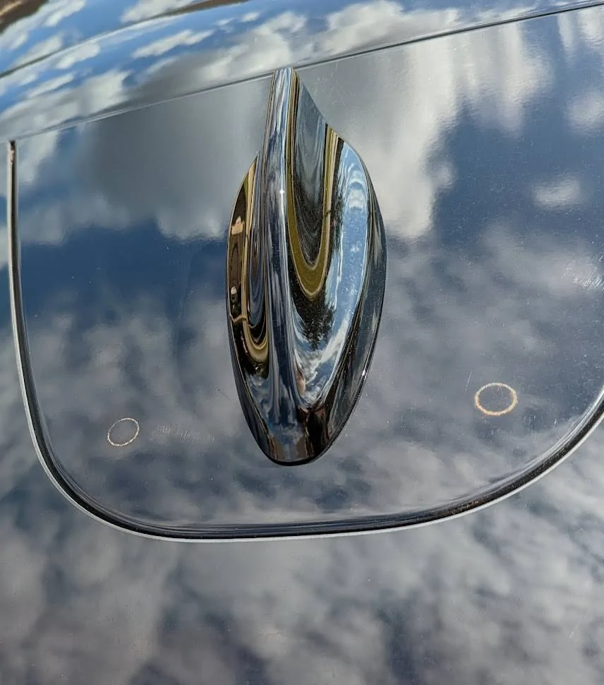 Ford Mustang Mach-E Circles near antenna 1