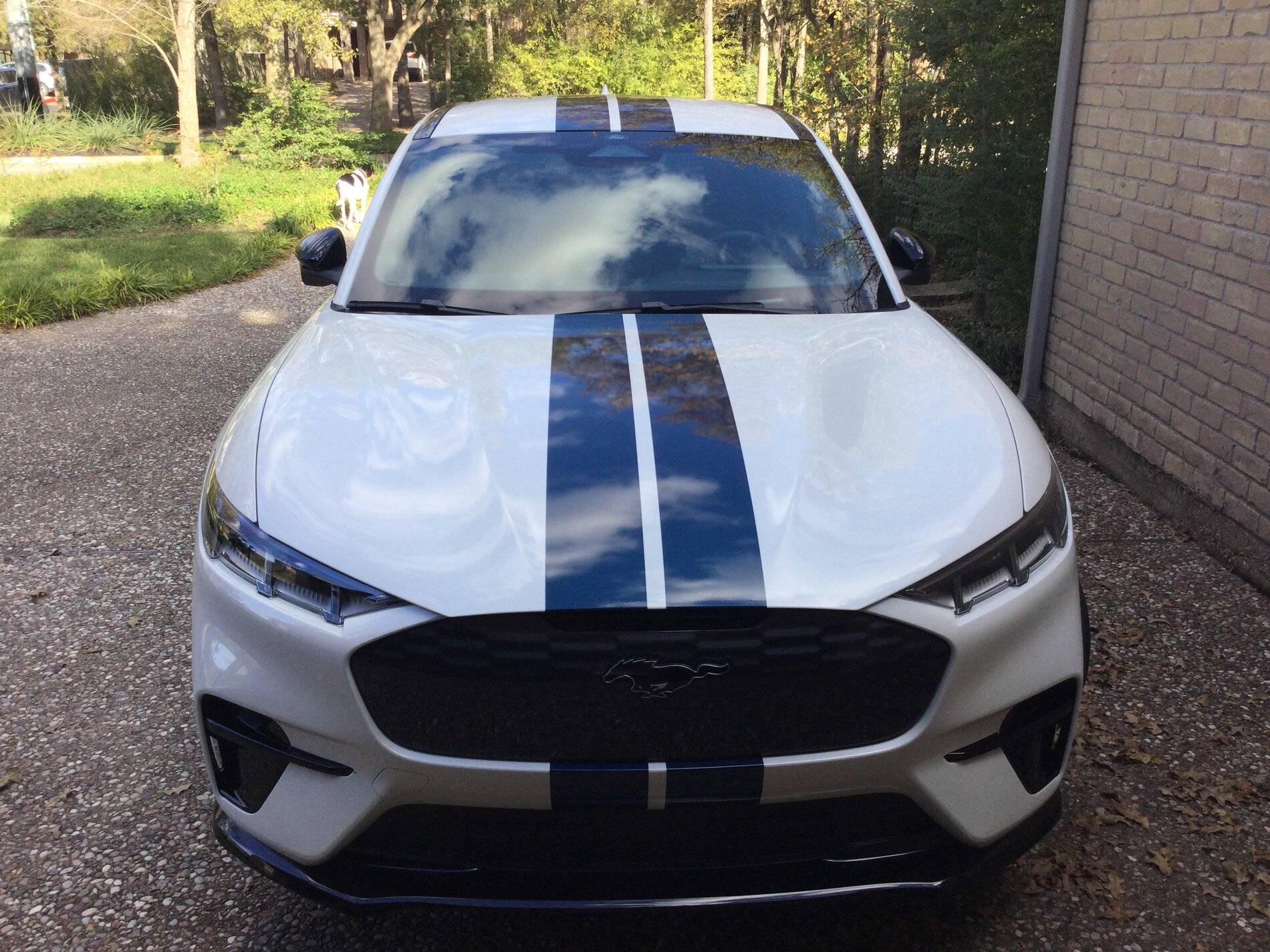 Ford Mustang Mach-E GTPE racing stripes and XPEL PPF applied 6BB6BFF0-5ED2-4A6C-A0F2-EE66EC9BDA4A