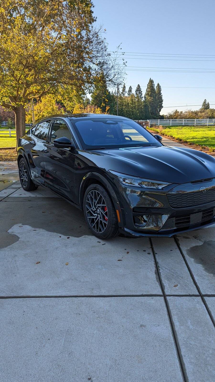 Ford Mustang Mach-E DARK MATTER GRAY Mach-E Photos PXL_20211121_225721280