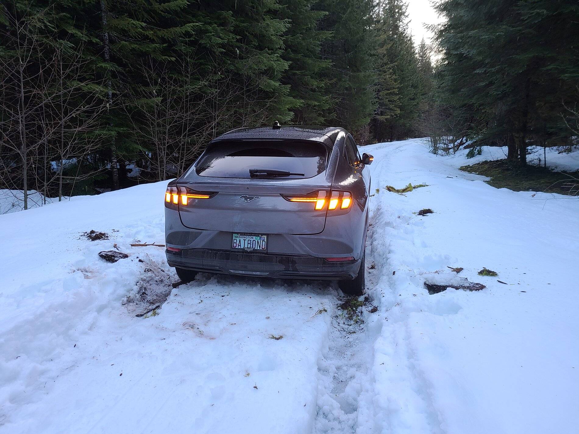 Ford Mustang Mach-E Mach-E in snowy Cascade Mountains! 20210323_080334