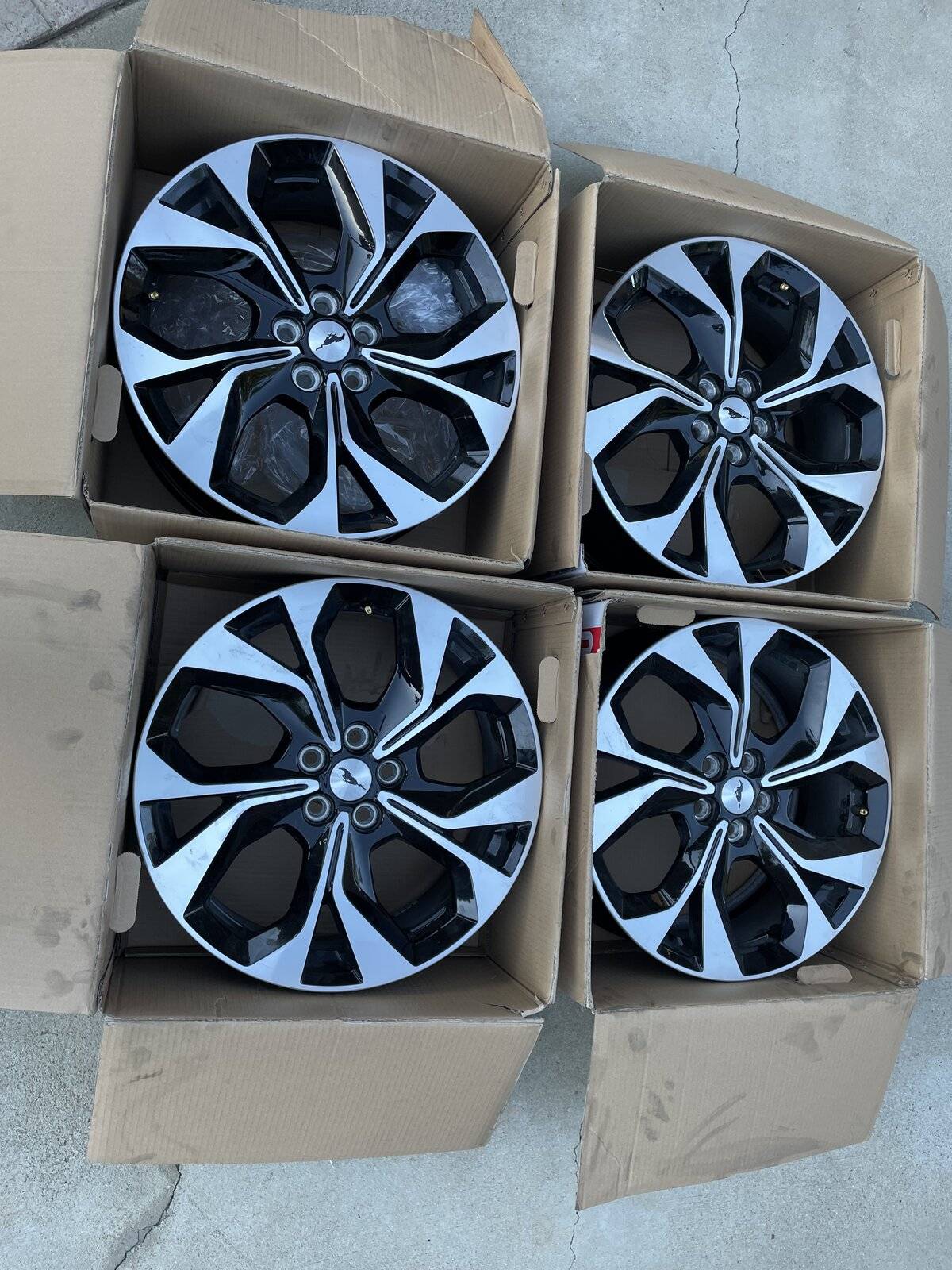 Ford Mustang Mach-E Premium 19" Wheels IMG_0099