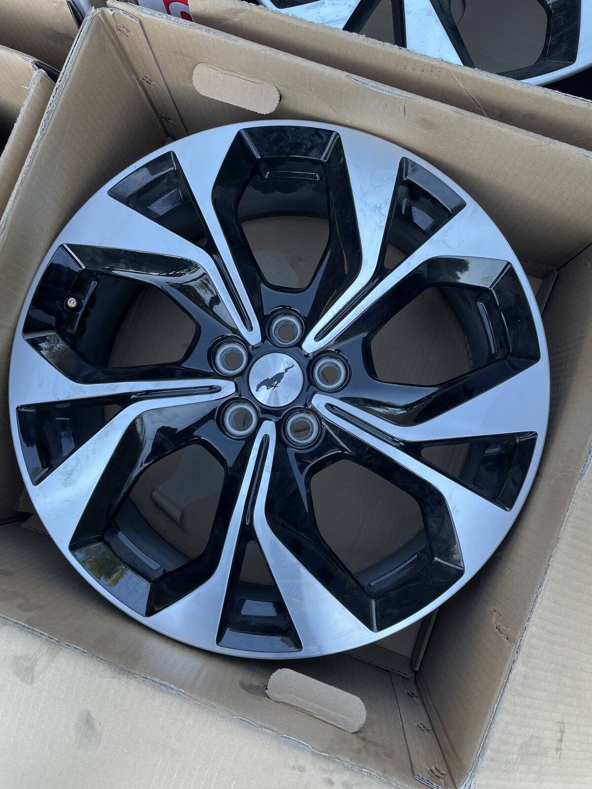 Ford Mustang Mach-E Premium 19" Wheels IMG_0100