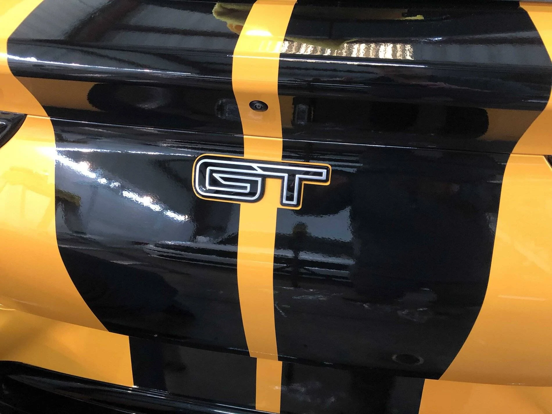 Ford Mustang Mach-E PPF with Racing Stripes? MachEtail