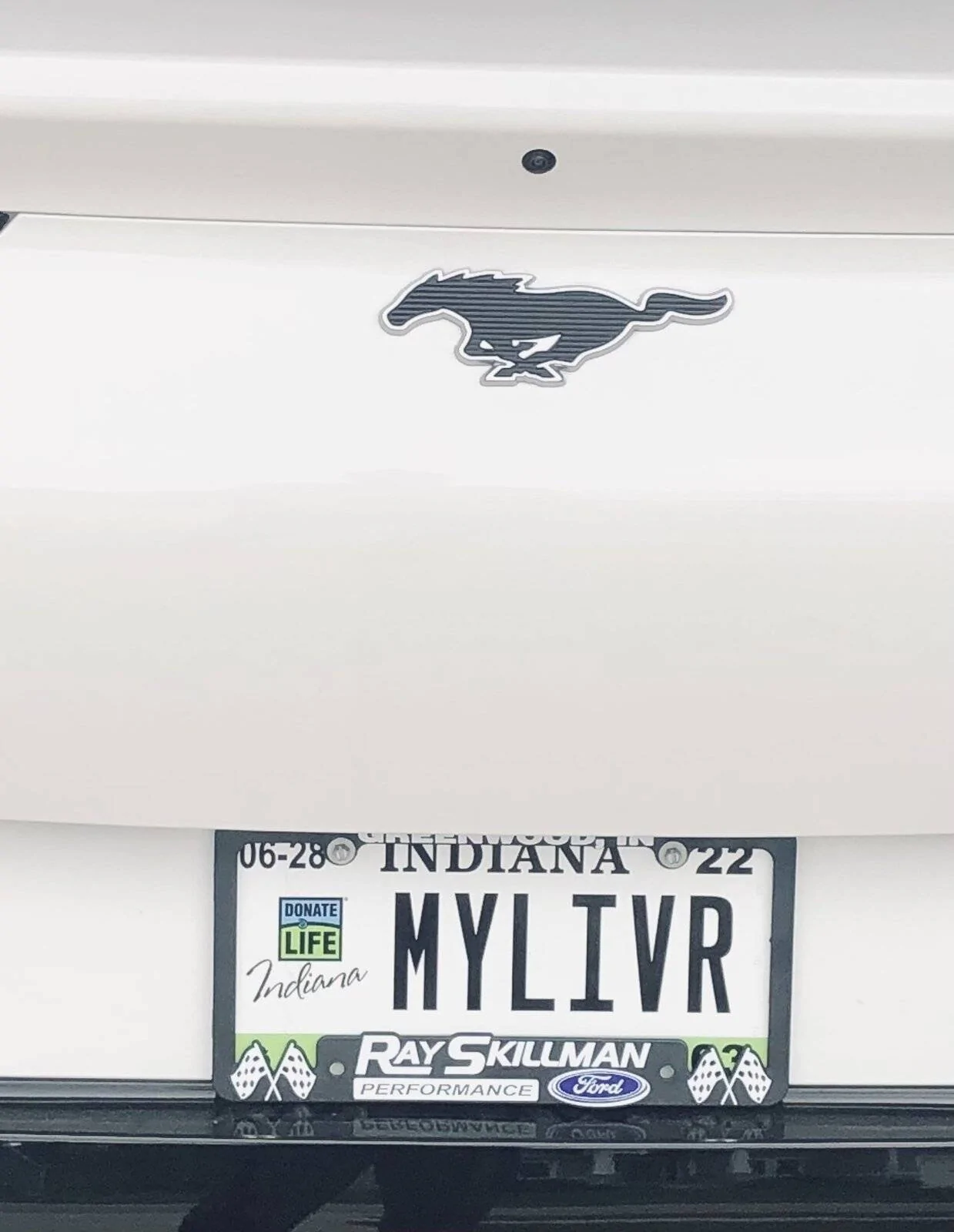 Ford Mustang Mach-E Custom Vanity Plates - What's Yours? 0FAEDD12-3BEC-4AEA-A656-A535139F84D9